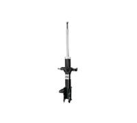 Amortiguador MAGNUM TECHNOLOGY AG3069MT