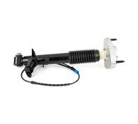 Amortiguador Eje trasero, derecha Espiga arriba SK-3816 Arnott para BMW X5 X6