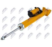 Amortiguador Eje trasero, derecha Puente arriba A-CH-103 NTY