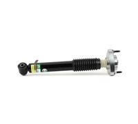 Amortiguador Eje trasero, derecha Puente arriba SK-3606 Arnott para BMW X5 X6
