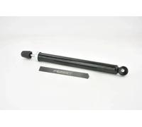 Amortiguador Eje trasero Espiga arriba 18656540R FEBEST para OPEL CHEVROLET FIAT