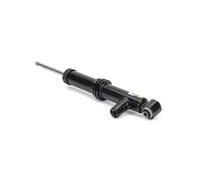 Amortiguador Eje trasero Espiga arriba SK-2805 Arnott para AUDI ALLROAD C5