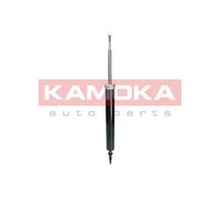 Amortiguador Eje trasero Espiga inferior 2000934 KAMOKA para BMW X1