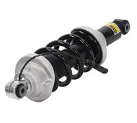 NTY Amortiguador Gas Presión Trasero Izquierdo para Audi R8 4S3 4SP
