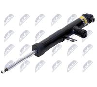 Amortiguador Eje trasero izquierda Espiga arriba A-BM-083 NTY