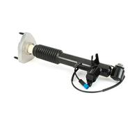 Amortiguador Eje trasero izquierda Espiga arriba SK-3817 Arnott para BMW X5 X6