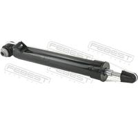 FEBEST Amortiguador para BMW: X5, X6 (Ref: 19110-002RL)