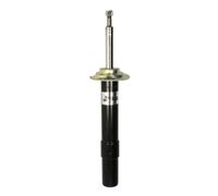 Amortiguador MAGNUM TECHNOLOGY AGB082MT derecha