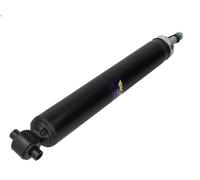 Amortiguador MONROE 25505 para PEUGEOT 307 (3A/C) 2 2000-2005