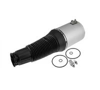 Amortiguador neumático ambos lados EZC-AU-248 NTY para AUDI A8 D3