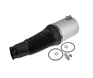 Amortiguador neumático ambos lados EZC-AU-248 NTY para AUDI A8 D3