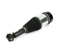 Amortiguador neumático Atrás izquierda Puente arriba AS-3801 Arnott para BMW