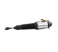 Arnott Amortiguador de Aire Frontal Derecho para Audi A8 3.0 Tdi de Quattro 4.2