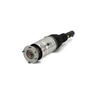 Amortiguador telescópico neumático ARNOTT EUROPE AS-3069