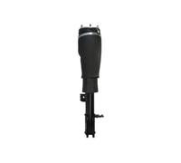 Amortiguador telescópico neumático MAGNUM TECHNOLOGY APL017MT