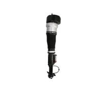Amortiguador neumático Delante, izquierda Espiga inferior APM022MT
