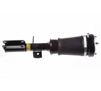 Amortiguador neumático Eje delantero, derecha DSA009G DENCKERMANN para BMW X5