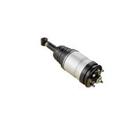 Amortiguador neumático Eje trasero 30900950 GSP para LAND ROVER DISCOVERY III