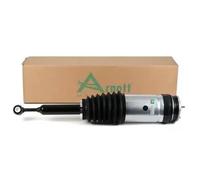 Amortiguador neumático posterior Puente arriba AS-3175 Arnott para TESLA MODEL X