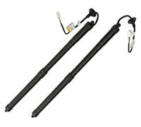 Amortiguador Para Nissan Para Rogue 2014-2020 Puntales Soporte Elevación Gas Para Puerta Trasera Eléctrica 905614CL3A 905614BA4A Stoßdämpfer