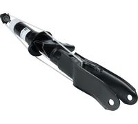 Amortiguador SACHS 315 229