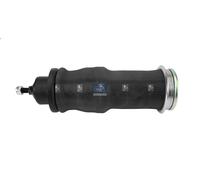 Amortiguador, suspensión de la cabina DT SPARE PARTS para T 11.705 2004-2005