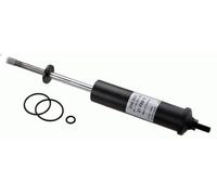 Amortiguador, suspensión de la cabina SACHS 290 203 para 4 - series 8.974 1996-