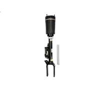 Amortiguador telescópico neumático ARNOTT EUROPE AS-245 para CLASE M 3 2010-