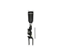 Arnott AS-2450 Amortiguador neumático