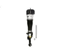 Amortiguador telescópico neumático ARNOTT EUROPE AS-2548 para CLASE S 3 2005-