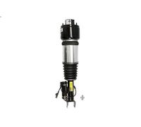 Amortiguador telescópico neumático ARNOTT EUROPE AS-2786 para CLS 3 2008-2010