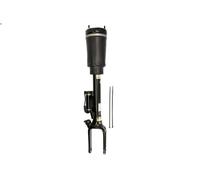 Amortiguador telescópico neumático ARNOTT EUROPE AS-2792 para CLASE M 5 2005-