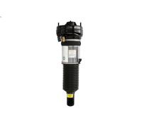 Amortiguador telescópico neumático ARNOTT EUROPE AS-2864 para A8 D4 3 2010-