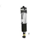 Amortiguador telescópico neumático ARNOTT EUROPE AS-2979 para 7 3 2005-2008