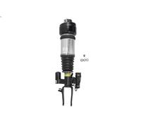 Amortiguador telescópico neumático ARNOTT EUROPE AS-3001 para CLASE E 3 2006-