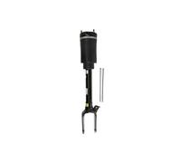 Amortiguador telescópico neumático ARNOTT EUROPE AS-3005