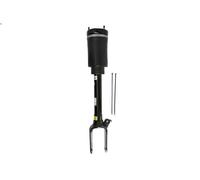 Amortiguador telescópico neumático ARNOTT EUROPE AS-3005 para CLASE GL 3 2006-