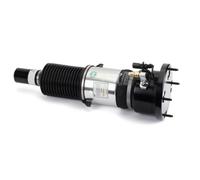 Amortiguador telescópico neumático ARNOTT EUROPE AS-3123