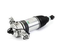 Amortiguador telescópico neumático ARNOTT EUROPE AS-3166