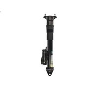 Amortiguador telescópico neumático ARNOTT EUROPE SK-3217 CLASE R 3 2007-2014