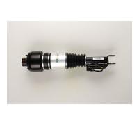 Dirección - Suspensión - Tren > Suspensión neumática > Amortiguador neumático