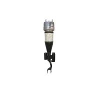 Amortiguador neumático Eje delantero, derecha Horquilla abajo 44-281045 BILSTEIN