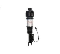Amortiguador telescópico neumático MAGNUM TECHNOLOGY APM002MT para CLS 3 2008-