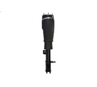 Amortiguador telescópico neumático para RANGE ROVER III (L322) 5 2009-2012