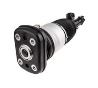 Amortiguador Trasero Izquierdo A-BM-101 NTY para BMW X5 G05 18- X6 G06 19-