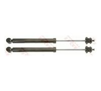 Amortiguador Trw JGT1000T Trw Twin para Toyota Daihatsu