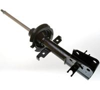 Amortiguadore delantero DENCKERMANN DSB032G
