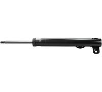 Amortiguadore delantero DENCKERMANN DSF025G