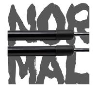Amortiguadores Maletero Amortiguadores Gas Para Portón Trasero Acero Inoxidable 2 Unidades Para Toyota Para Hilux GUN125 GUN126 2015-2024 Asistencia Choque Resortes(NORMAL BLACK)