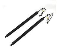 Amortiguadores Maletero PARA LR PARA DISCOVERY PARA SPORT L550 RESORTE APOYO GAS PARA PORTON TRASERO ELÉCTRICO PARA PORTON TRASERO AUTO LR075420 LR075419 Muelle Neumático Maletero(LR075420 Left)